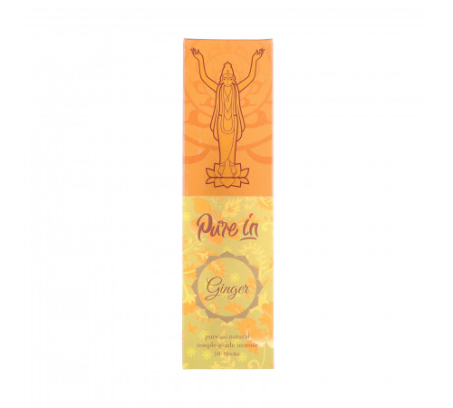 Благовония Ginger (Имбирь) Pure In 10гр